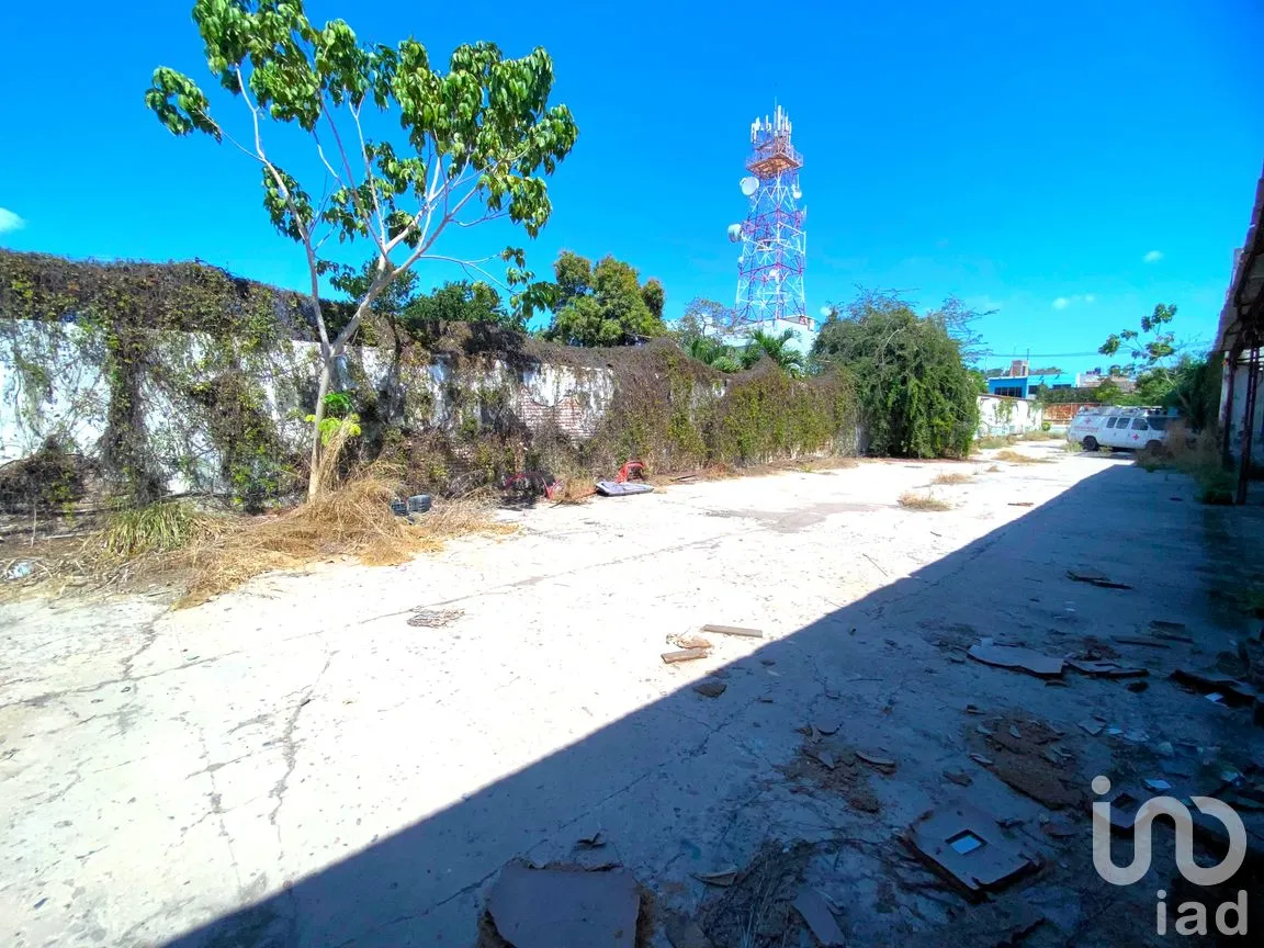 Bodega en Venta en Juárez, Santiago Ixcuintla, Nayarit | NEX-293466 | iad México | Foto 5 de 17