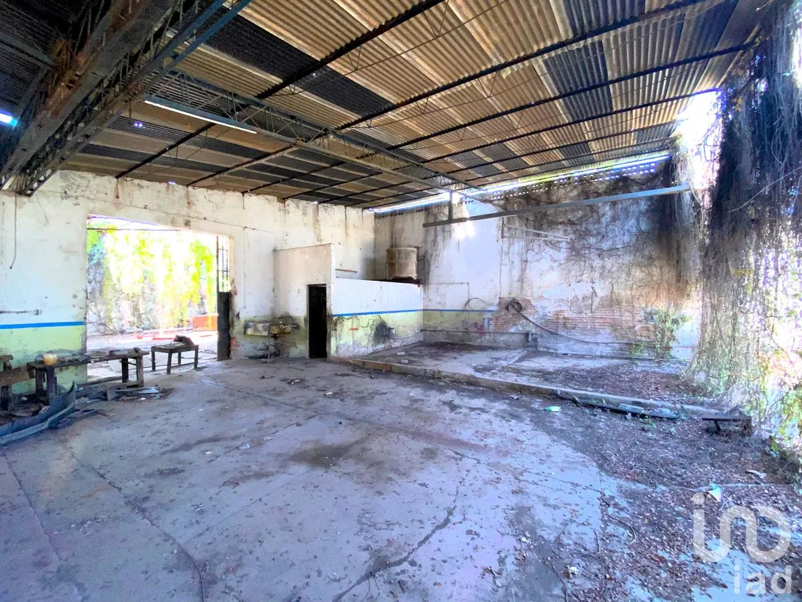 Bodega en Venta en Juárez, Santiago Ixcuintla, Nayarit | NEX-293466 | iad México | Foto 9 de 17