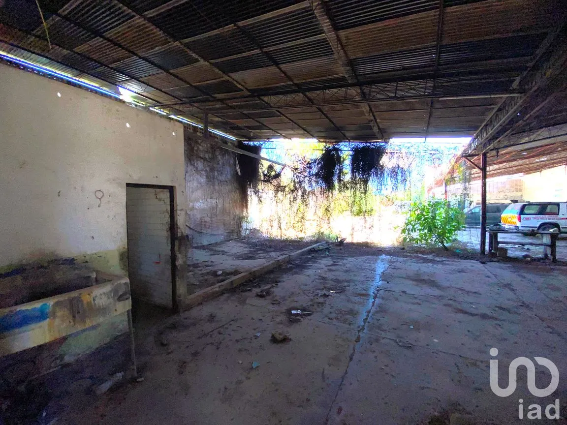 Bodega en Venta en Juárez, Santiago Ixcuintla, Nayarit | NEX-293466 | iad México | Foto 10 de 17