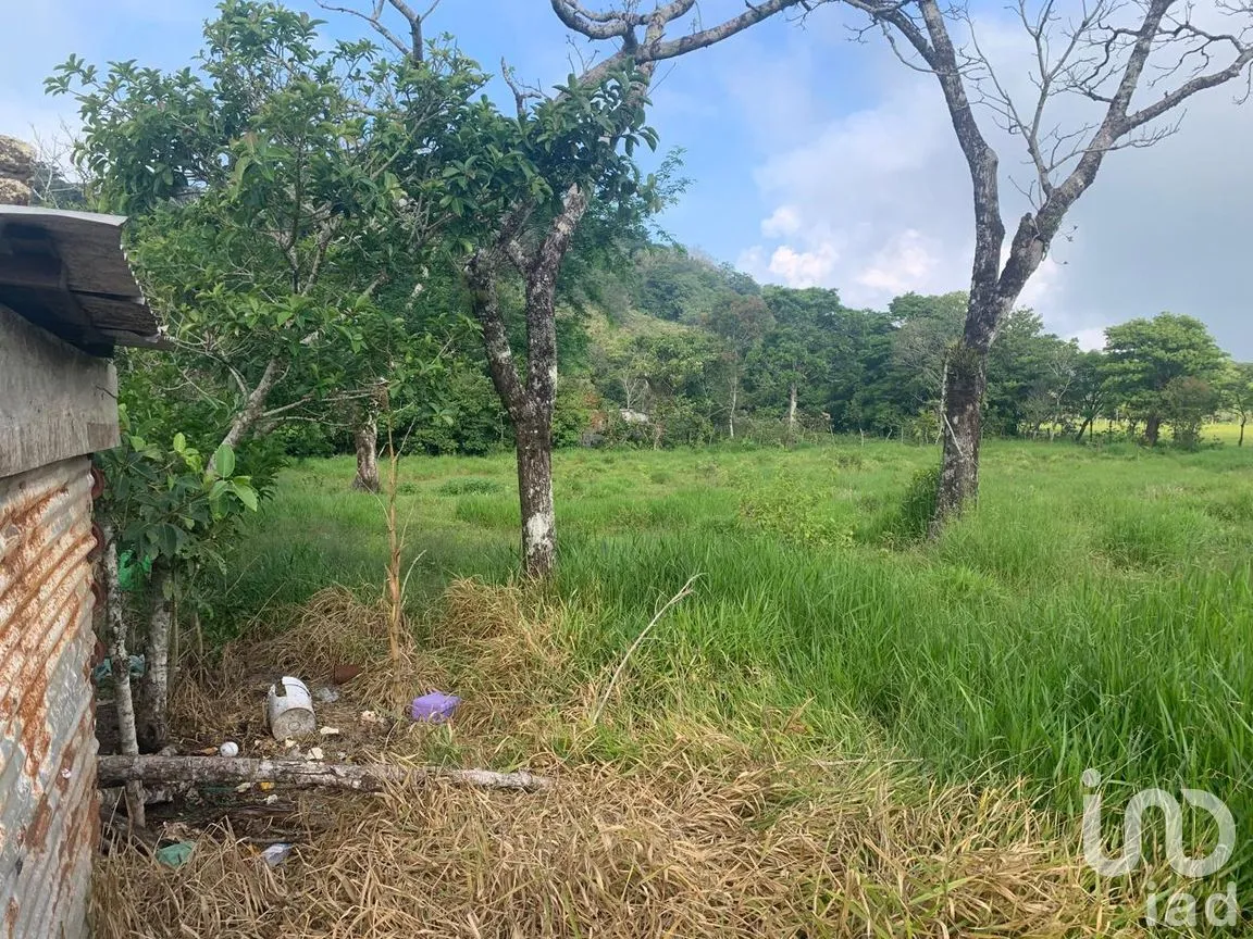 Terreno en Venta en Adolfo Ruiz Cortines, San Andrés Tuxtla, Veracruz de Ignacio de la Llave | NEX-263877 | iad México | Foto 2 de 7