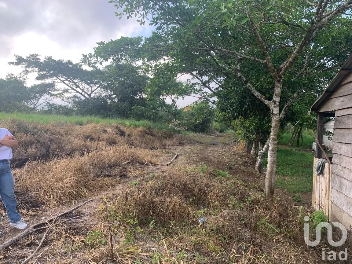 Terreno en Venta en Adolfo Ruiz Cortines, San Andrés Tuxtla, Veracruz de Ignacio de la Llave | NEX-263877 | iad México | Foto 3 de 7