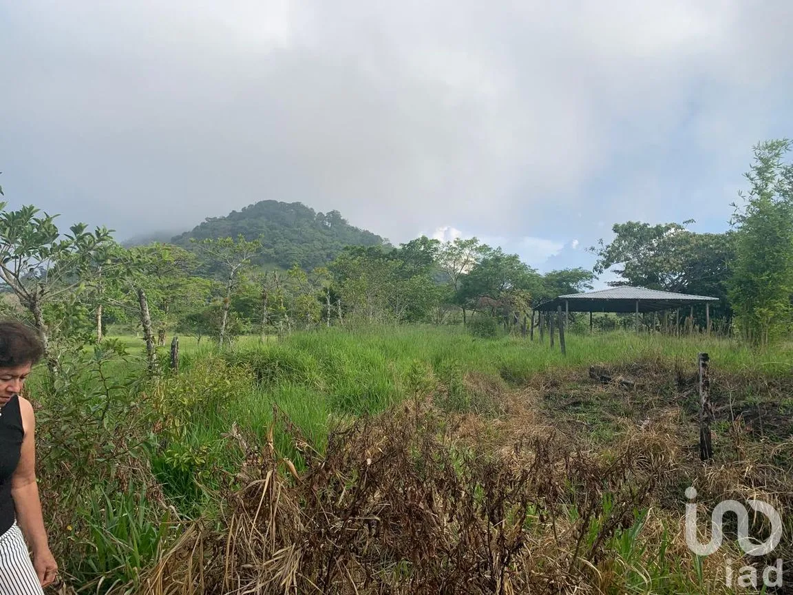 Terreno en Venta en Adolfo Ruiz Cortines, San Andrés Tuxtla, Veracruz de Ignacio de la Llave | NEX-263877 | iad México | Foto 4 de 7