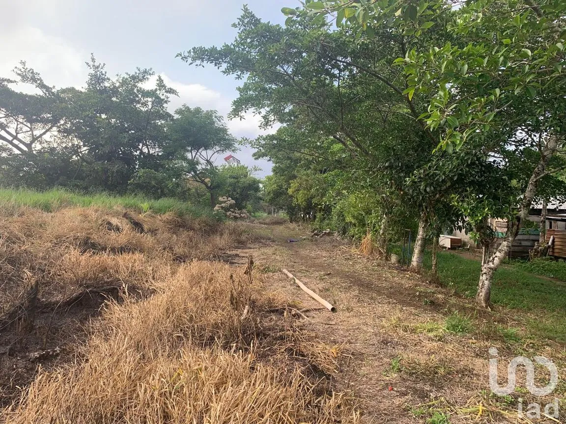 Terreno en Venta en Adolfo Ruiz Cortines, San Andrés Tuxtla, Veracruz de Ignacio de la Llave | NEX-263877 | iad México | Foto 5 de 7