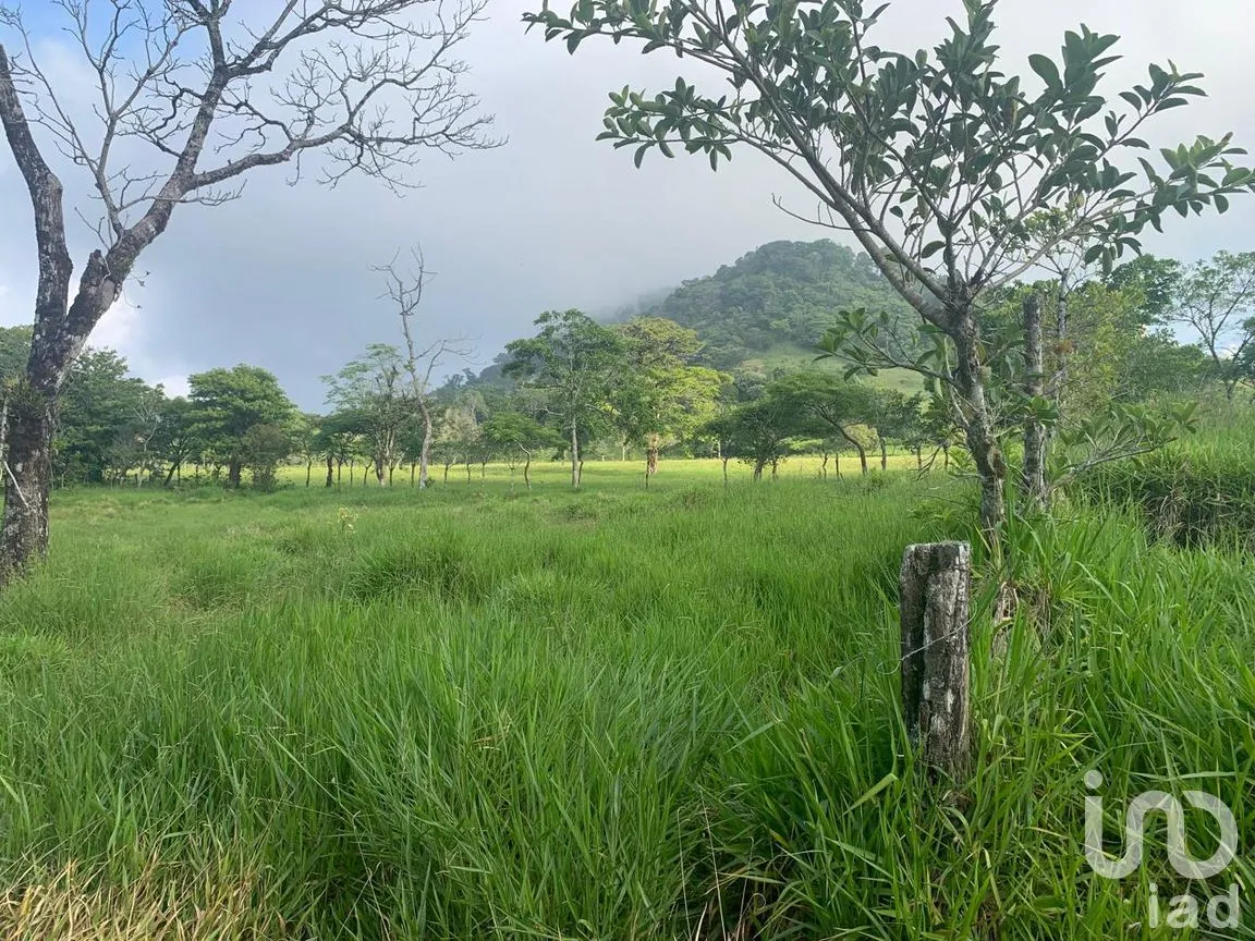 Terreno en Venta en Adolfo Ruiz Cortines, San Andrés Tuxtla, Veracruz de Ignacio de la Llave | NEX-263877 | iad México | Foto 6 de 7