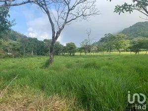 NEX-263877 - Terreno en Venta en Adolfo Ruiz Cortines, CP 95809, Veracruz de Ignacio de la Llave.