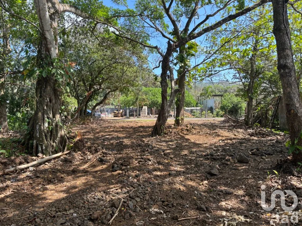 Terreno en Venta en Montepío, San Andrés Tuxtla, Veracruz de Ignacio de la Llave | NEX-286586 | iad México | Foto 11 de 12