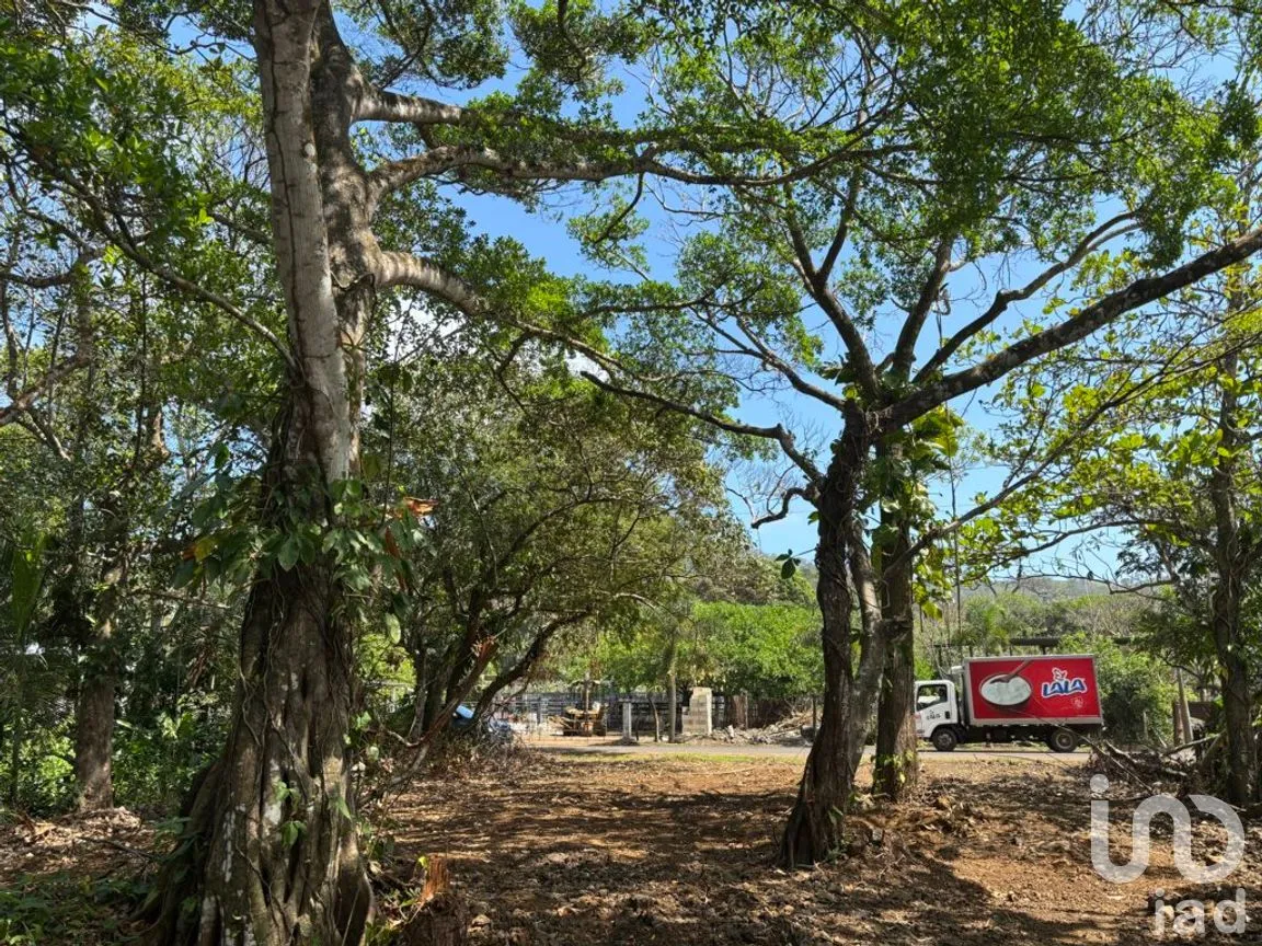 Terreno en Venta en Montepío, San Andrés Tuxtla, Veracruz de Ignacio de la Llave | NEX-286586 | iad México | Foto 12 de 12