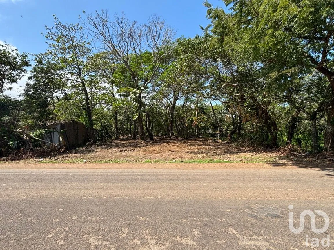 Terreno en Venta en Montepío, San Andrés Tuxtla, Veracruz de Ignacio de la Llave | NEX-286586 | iad México | Foto 7 de 12
