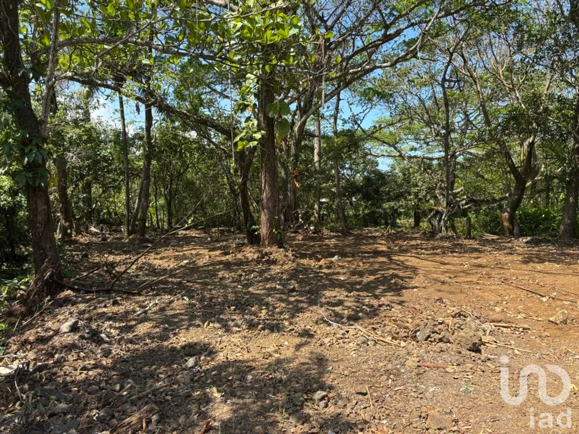 Terreno en Venta en Montepío, San Andrés Tuxtla, Veracruz de Ignacio de la Llave | NEX-286586 | iad México | Foto 8 de 12