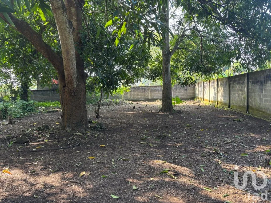 Terreno en Venta en Sihuapan Centro, San Andrés Tuxtla, Veracruz de Ignacio de la Llave | NEX-286588 | iad México | Foto 4 de 11