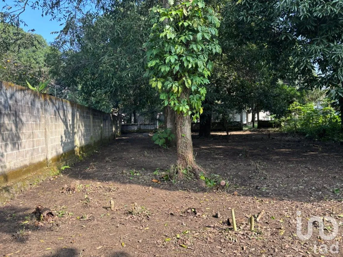 Terreno en Venta en Sihuapan Centro, San Andrés Tuxtla, Veracruz de Ignacio de la Llave | NEX-286588 | iad México | Foto 5 de 11