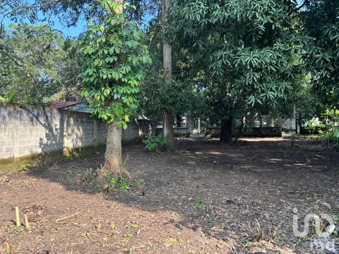 Terreno en Venta en Sihuapan Centro, San Andrés Tuxtla, Veracruz de Ignacio de la Llave | NEX-286588 | iad México | Foto 6 de 11