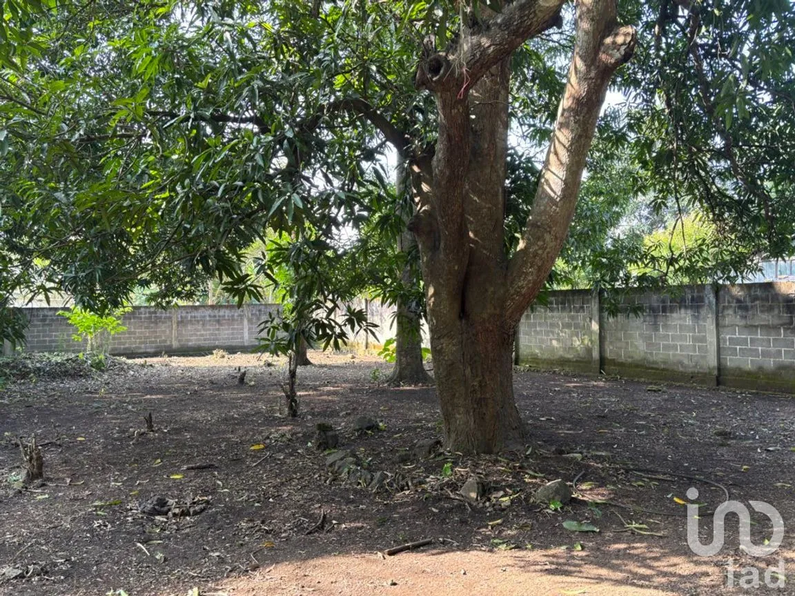 Terreno en Venta en Sihuapan Centro, San Andrés Tuxtla, Veracruz de Ignacio de la Llave | NEX-286588 | iad México | Foto 7 de 11