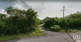 NEX-14509 - Terreno en Venta, con 110000 m2 de construcción en Chicxulub, CP 97340, Yucatán.