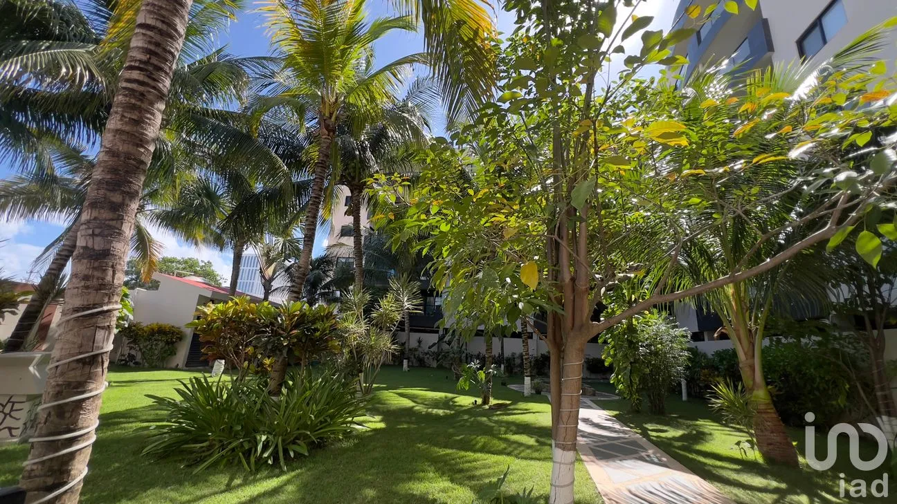 Departamento en Renta en Supermanzana 12, Benito Juárez, Quintana Roo | NEX-309002 | iad México | Foto 13 de 19