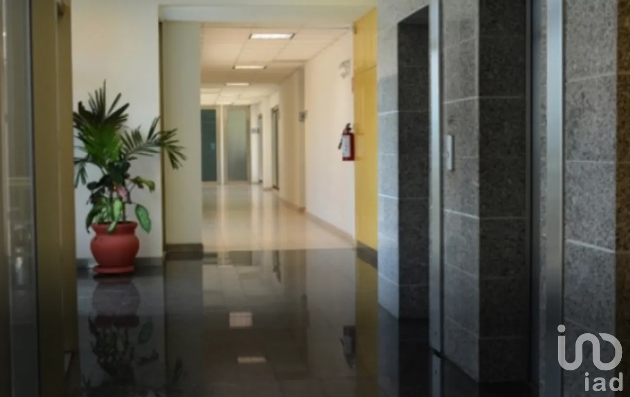Oficina en Renta en Juárez, Benito Juárez, Quintana Roo | NEX-55080 | iad México | Foto 1 de 1