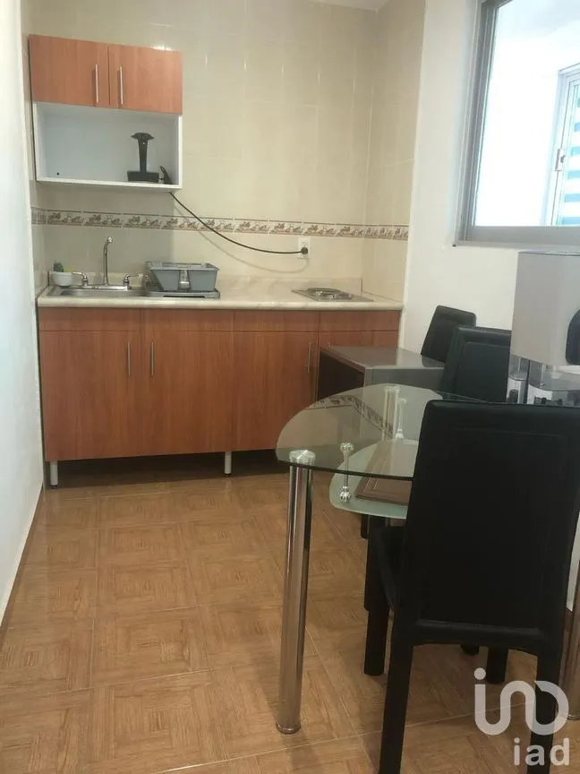 Casa en Venta en Oxtopulco Universidad, Coyoacán, Ciudad de México | NEX-243341 | iad México | Foto 36 de 41