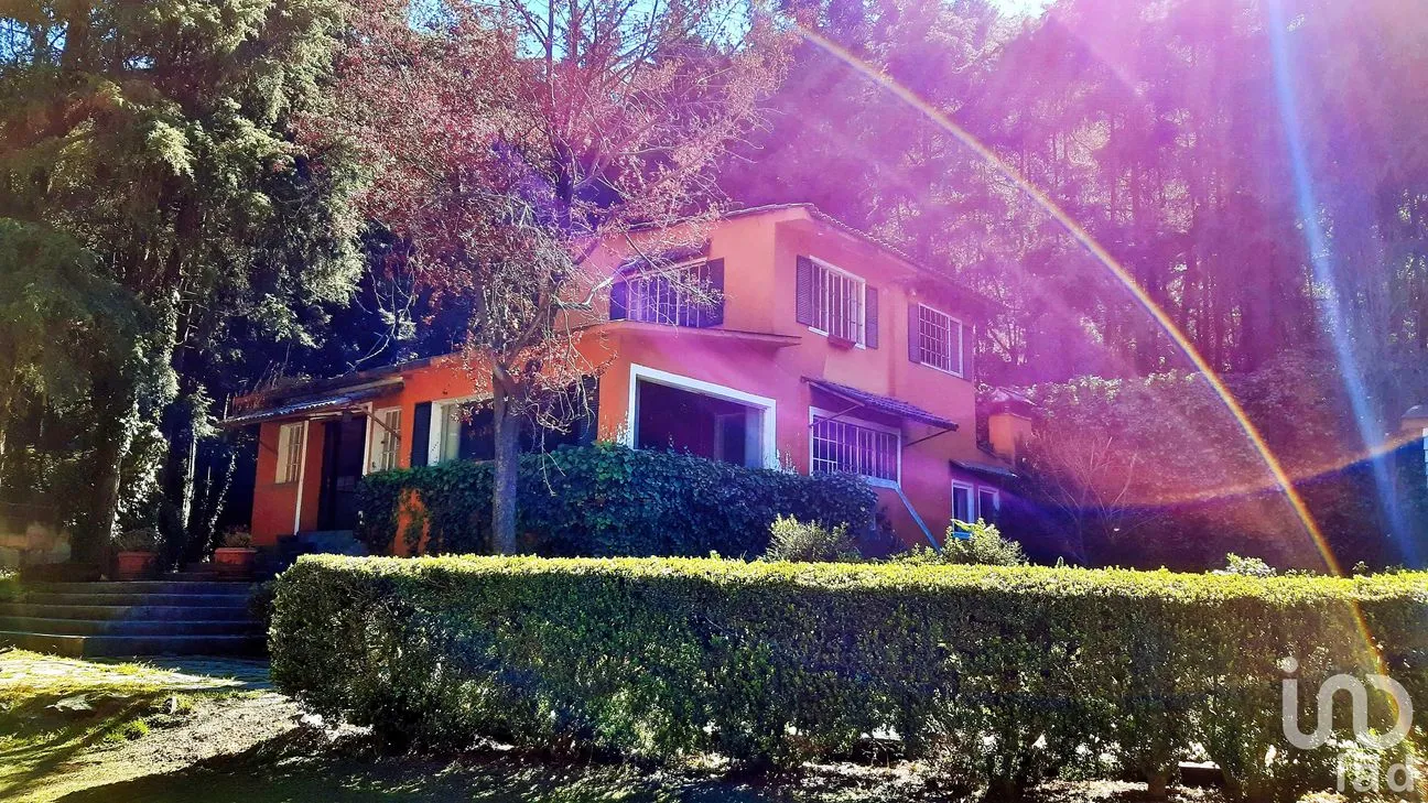 Terreno en Venta en San Lorenzo Acopilco, Cuajimalpa de Morelos, Ciudad de México | NEX-248175 | iad México | Foto 7 de 19