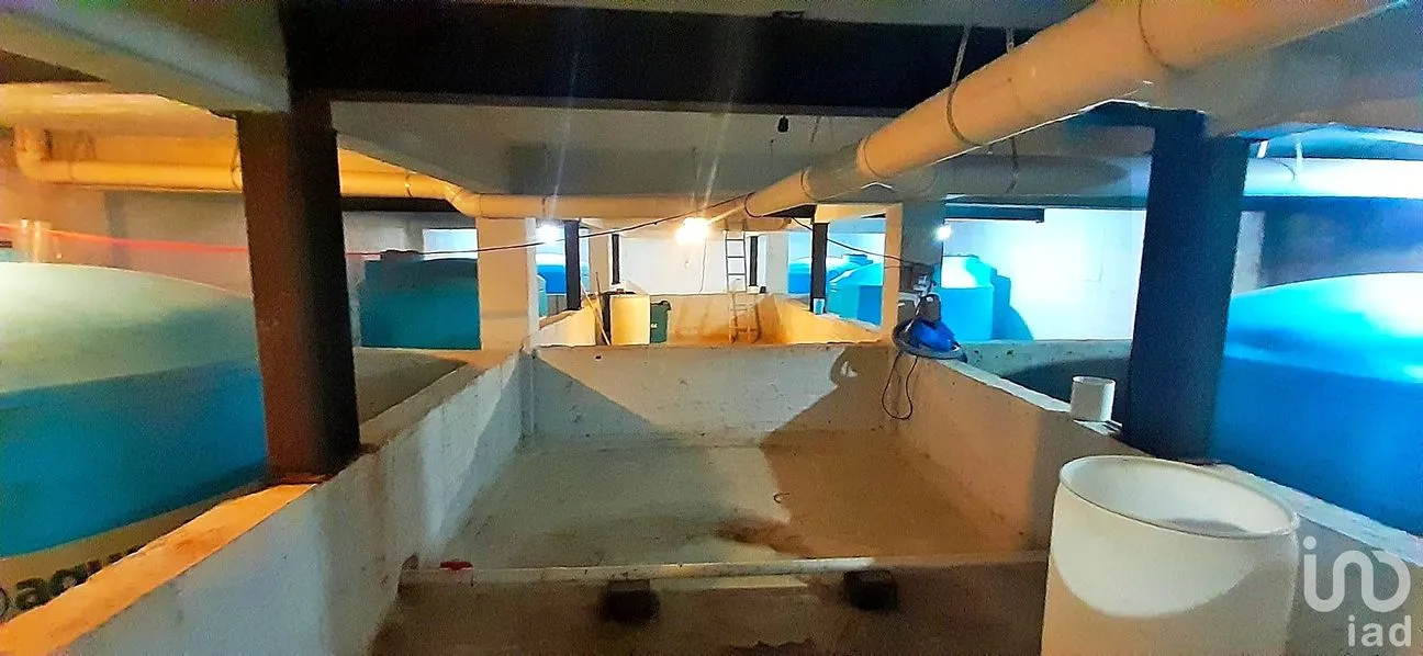 Bodega en Venta en San Bartolo El Chico, Xochimilco, Ciudad de México | NEX-248261 | iad México | Foto 8 de 11