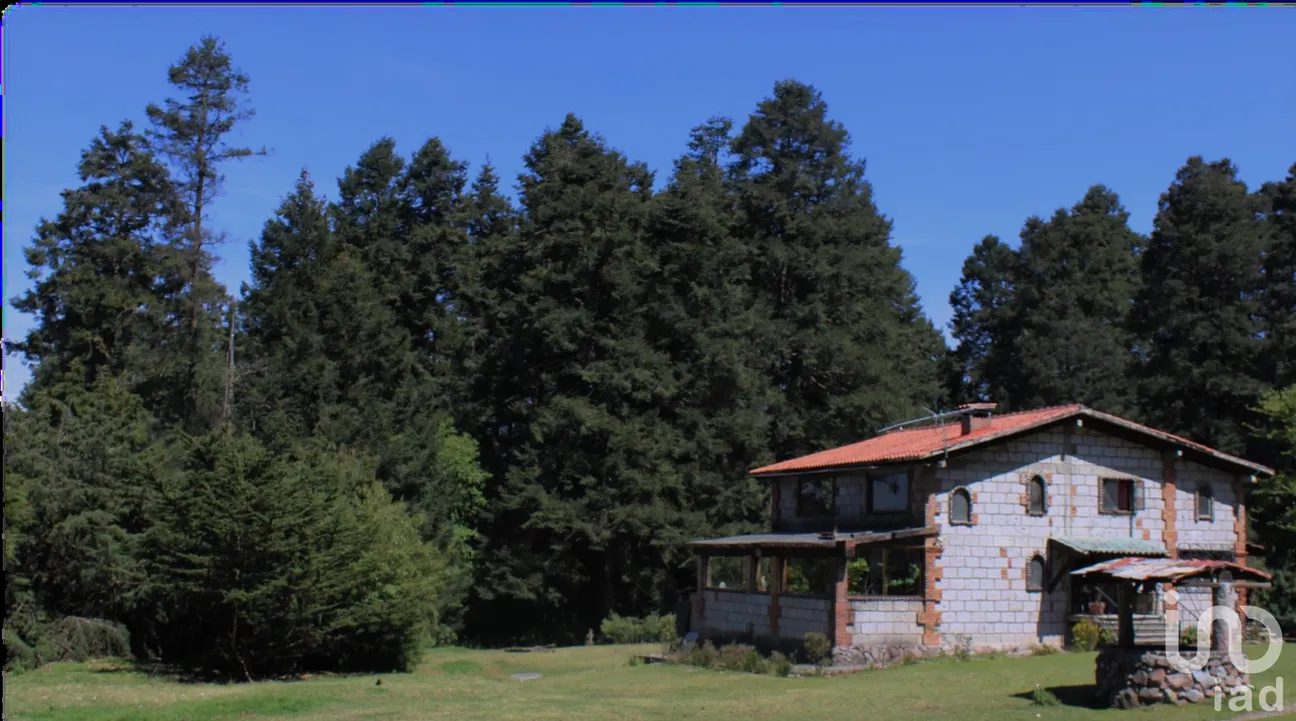 Rancho en Venta en Santo Tomas Ajusco, Tlalpan, Ciudad de México | NEX-250655 | iad México | Foto 12 de 13