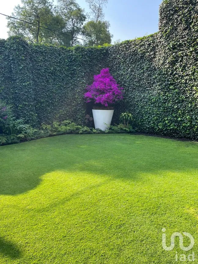 Casa en Venta en San Ángel Inn, Álvaro Obregón, Ciudad de México | NEX-259766 | iad México | Foto 4 de 20