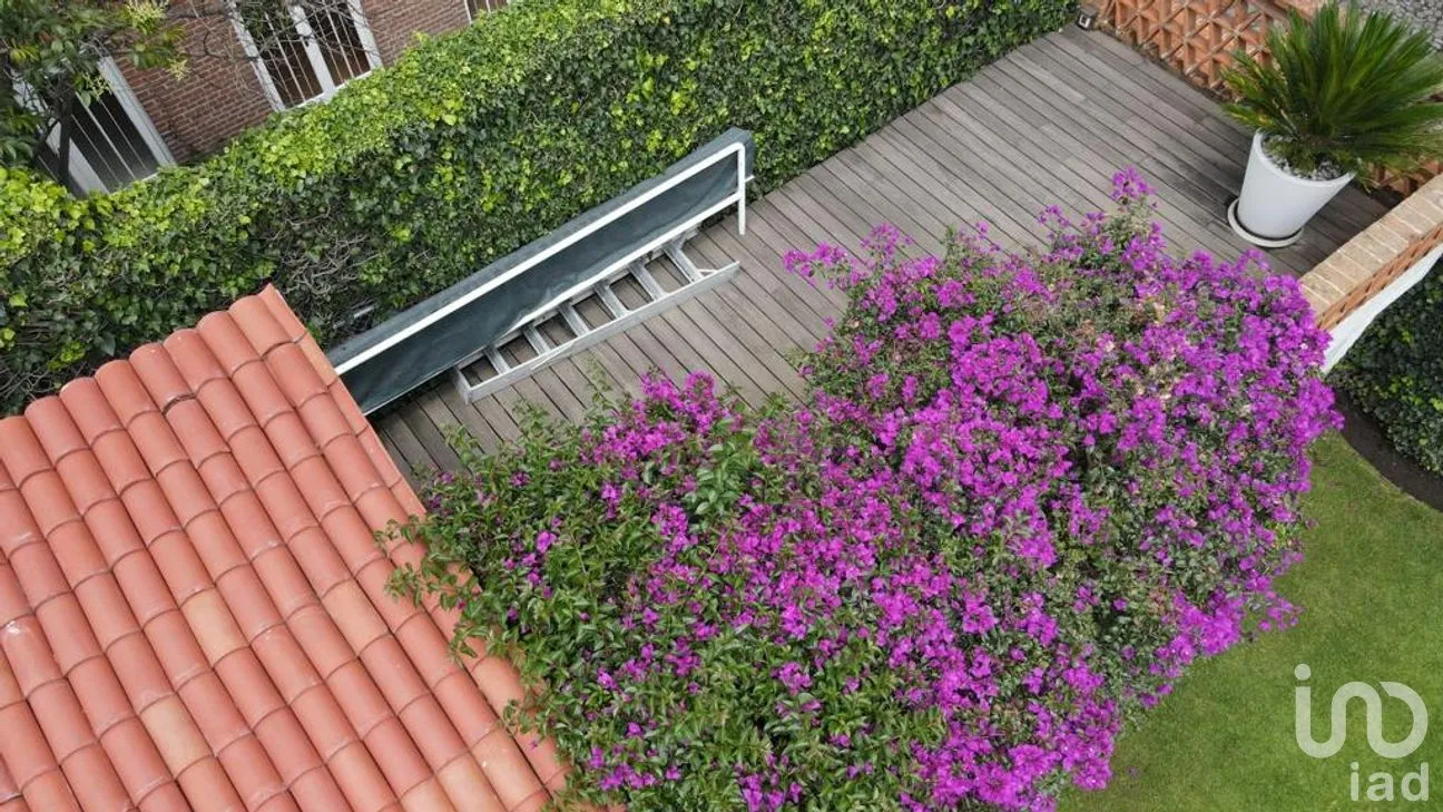 Casa en Renta en San Ángel Inn, Álvaro Obregón, Ciudad de México | NEX-261250 | iad México | Foto 3 de 20