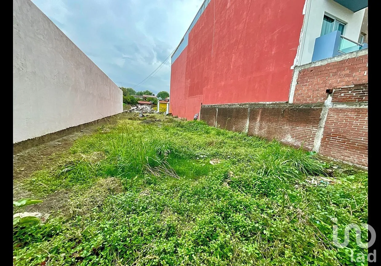 Terreno en Venta en La Mora, Uruapan, Michoacán de Ocampo | NEX-256091 | iad México | Foto 6 de 7