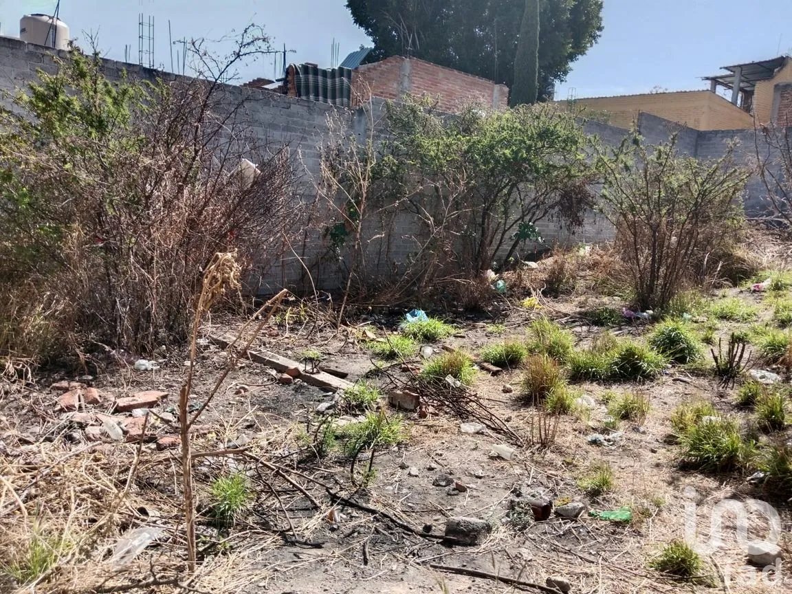 Terreno en Venta en San Rafael Insurgentes, San Miguel de Allende, Guanajuato | NEX-286461 | iad México | Foto 3 de 7