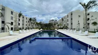 NEX-199031 - Departamento en Renta, con 2 recamaras, con 1 baño, con 49 m2 de construcción en Aldea Zama, CP 77760, Quintana Roo.
