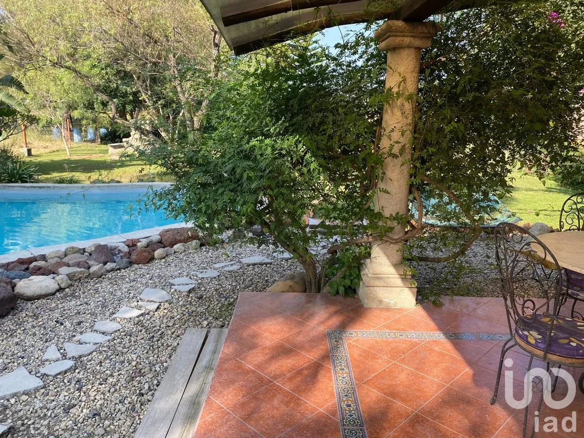 Rancho en Venta en San Isidro Mazatepec, Tala, Jalisco | NEX-261763 | iad México | Foto 11 de 31