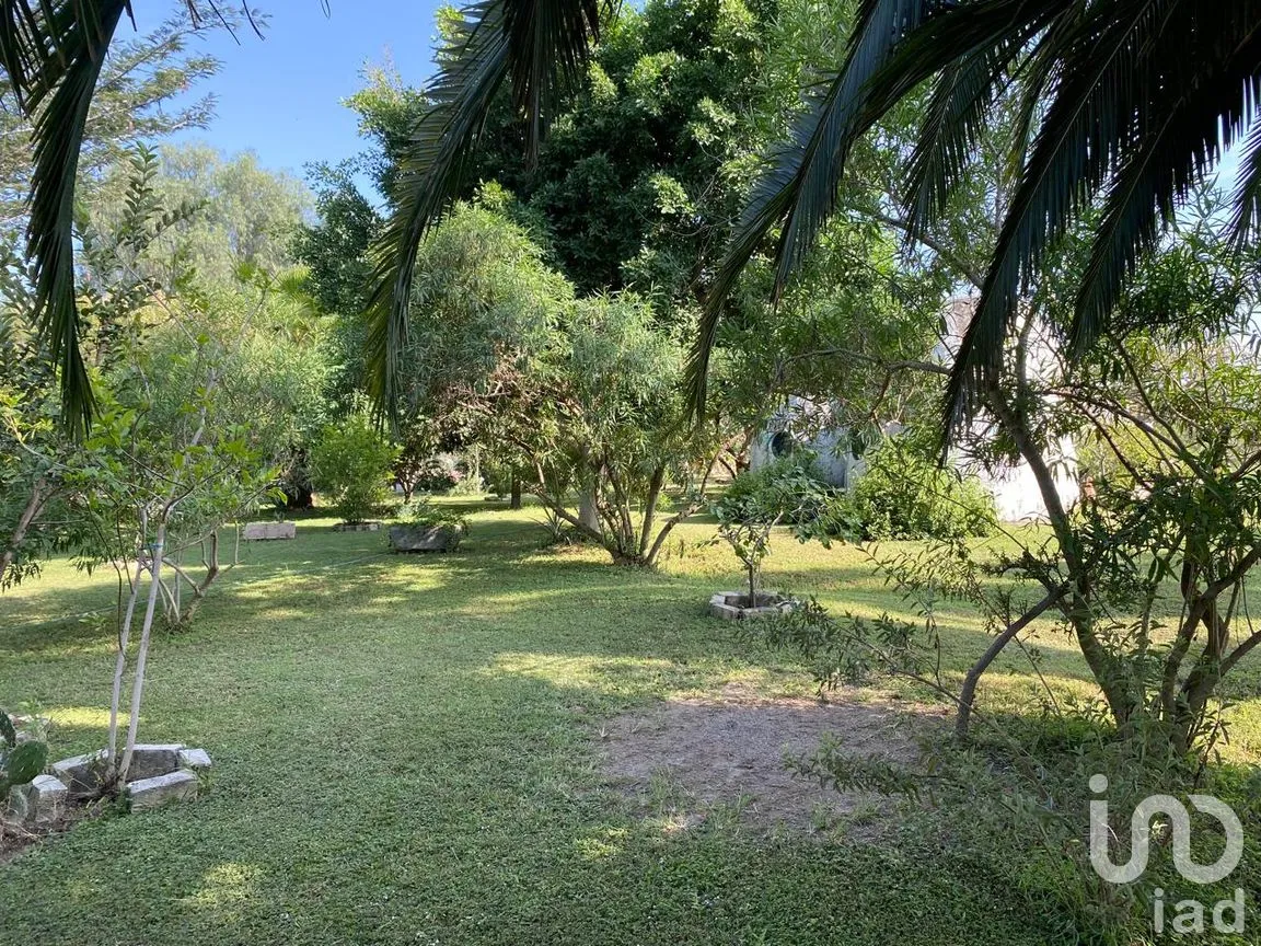Rancho en Venta en San Isidro Mazatepec, Tala, Jalisco | NEX-261763 | iad México | Foto 16 de 31