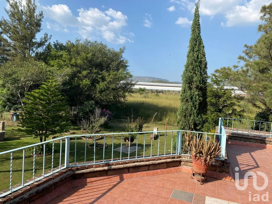 Rancho en Venta en San Isidro Mazatepec, Tala, Jalisco | NEX-261763 | iad México | Foto 26 de 31