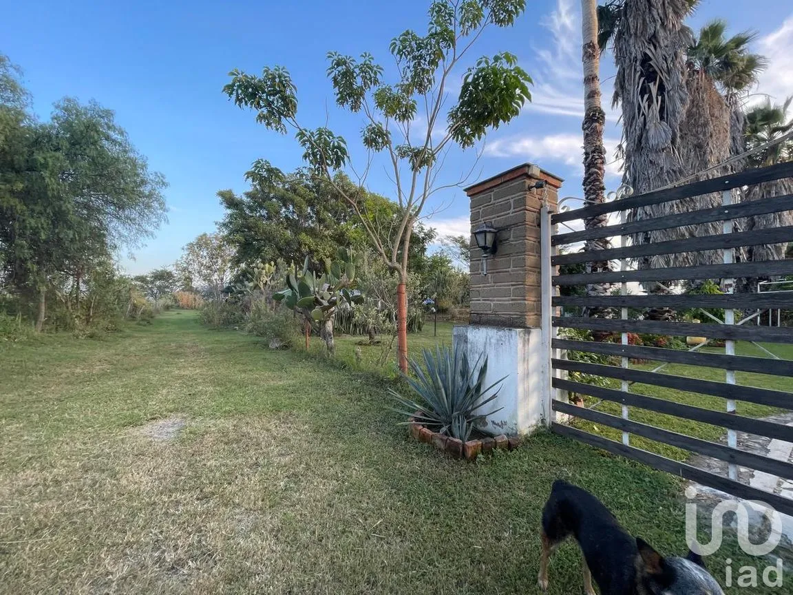 Rancho en Venta en San Isidro Mazatepec, Tala, Jalisco | NEX-261763 | iad México | Foto 4 de 31