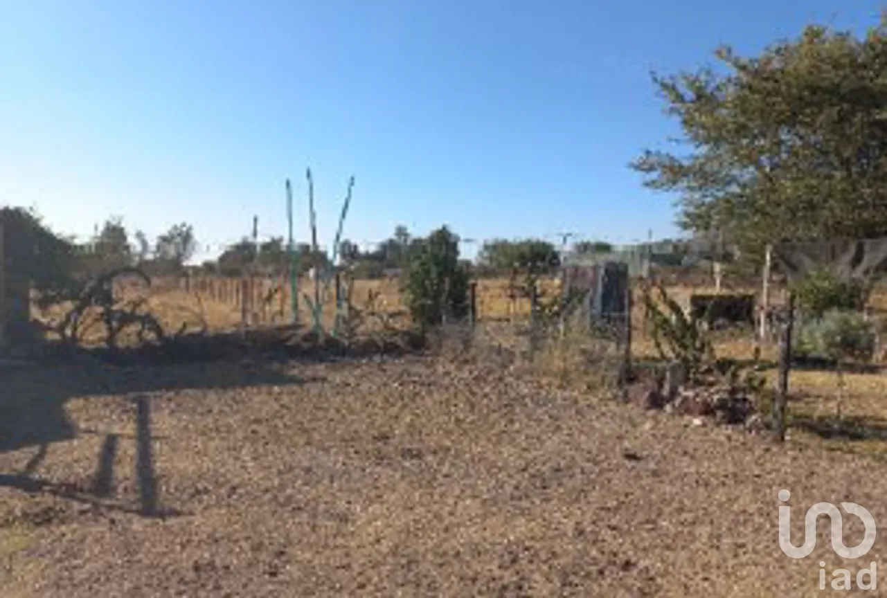 Rancho en Venta en San Isidro Mazatepec, Tala, Jalisco | NEX-261763 | iad México | Foto 31 de 31