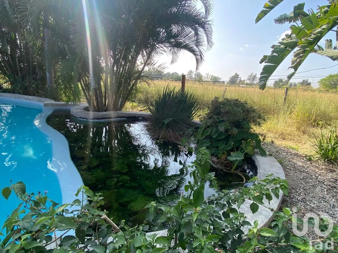 Rancho en Venta en San Isidro Mazatepec, Tala, Jalisco | NEX-261763 | iad México | Foto 8 de 31
