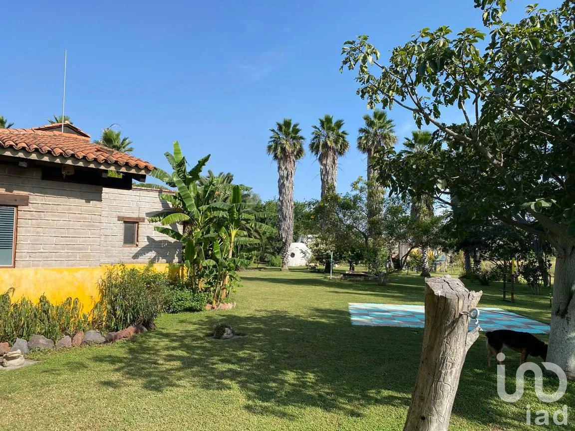 Rancho en Venta en San Isidro Mazatepec, Tala, Jalisco | NEX-261763 | iad México | Foto 9 de 31