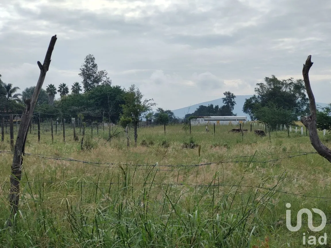 Terreno en Venta en San Isidro Mazatepec, Tala, Jalisco | NEX-261981 | iad México | Foto 4 de 7