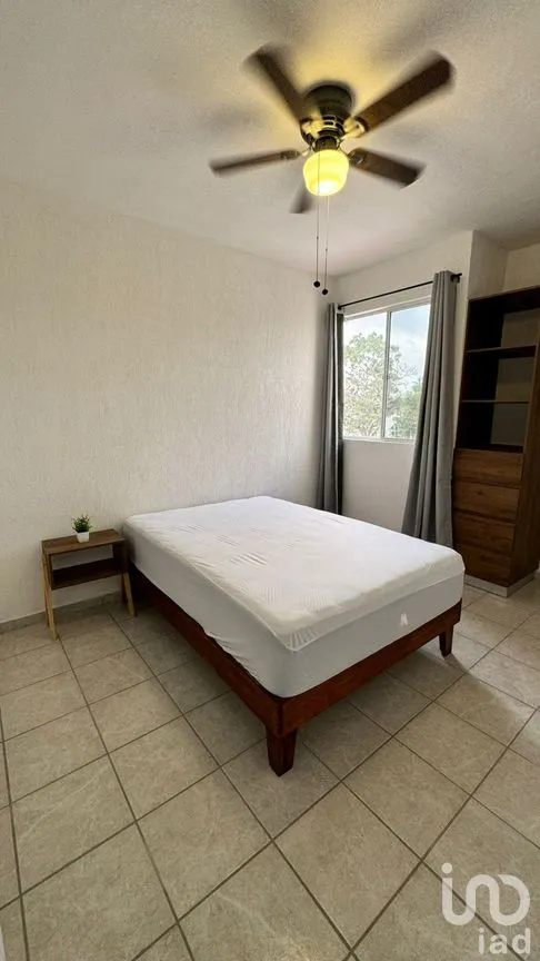 Departamento en Renta en Aldea Tulum, Tulum, Quintana Roo | NEX-296759 | iad México | Foto 15 de 22