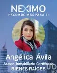 Angélica Avila