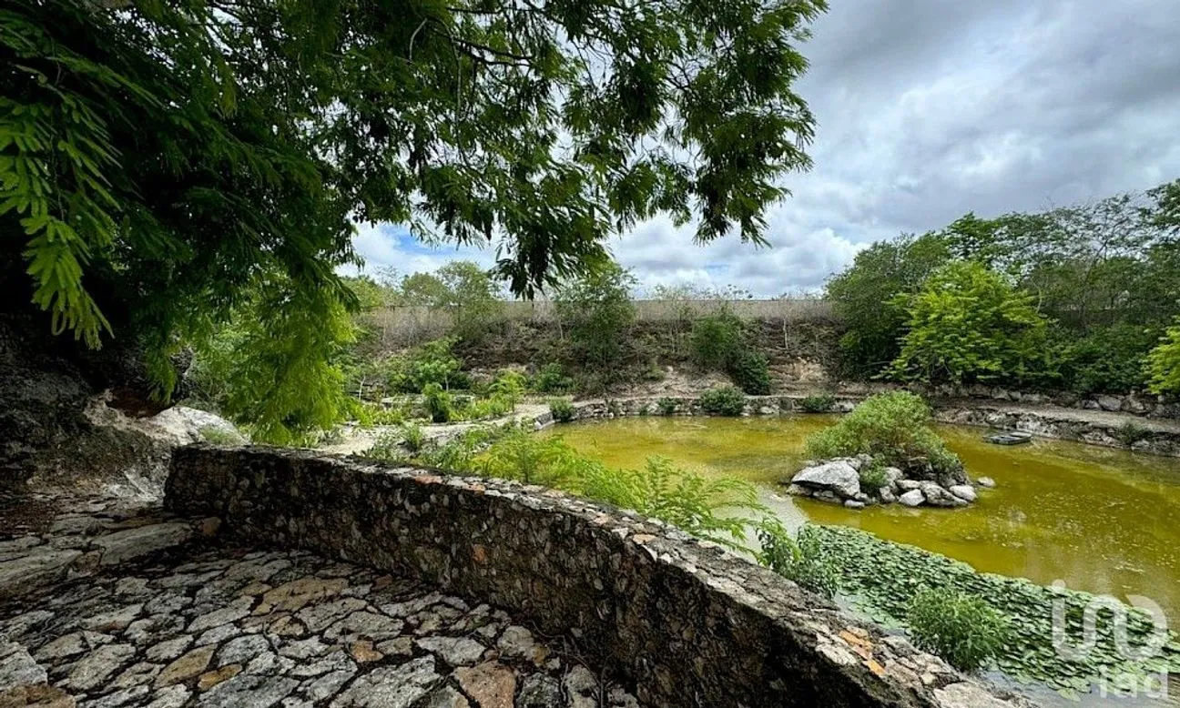 Casa en Venta en Conkal, Conkal, Yucatán | NEX-239734 | iad México | Foto 22 de 26