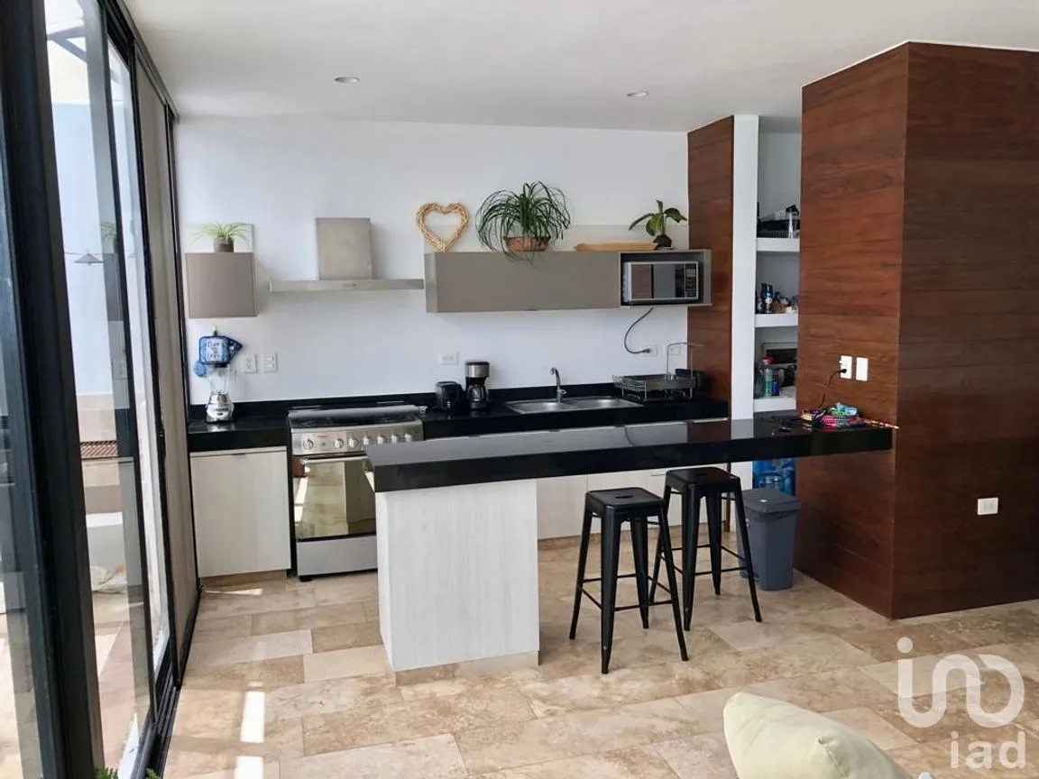 Casa en Renta en Santa Gertrudis Copo, Mérida, Yucatán | NEX-245374 | iad México | Foto 3 de 12