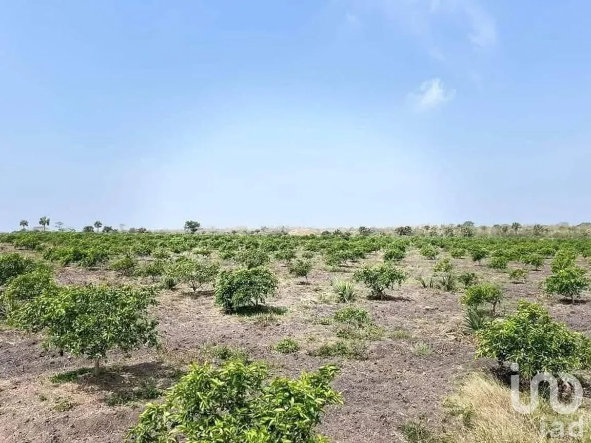 Terreno en Venta en Topila, Tampico Alto, Veracruz de Ignacio de la Llave | NEX-244648 | iad México | Foto 2 de 16