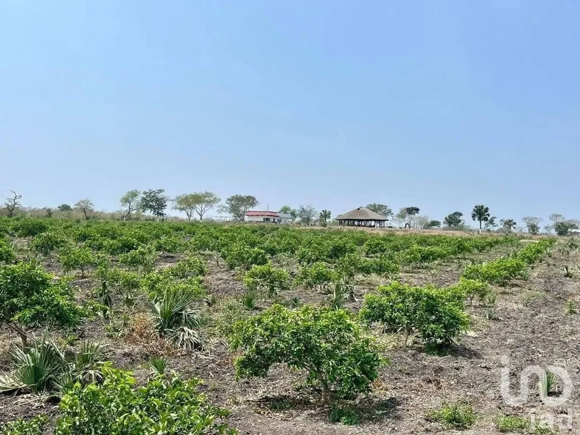Terreno en Venta en Topila, Tampico Alto, Veracruz de Ignacio de la Llave | NEX-244648 | iad México | Foto 5 de 16