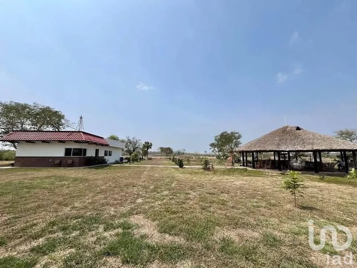 Terreno en Venta en Topila, Tampico Alto, Veracruz de Ignacio de la Llave | NEX-244648 | iad México | Foto 8 de 16
