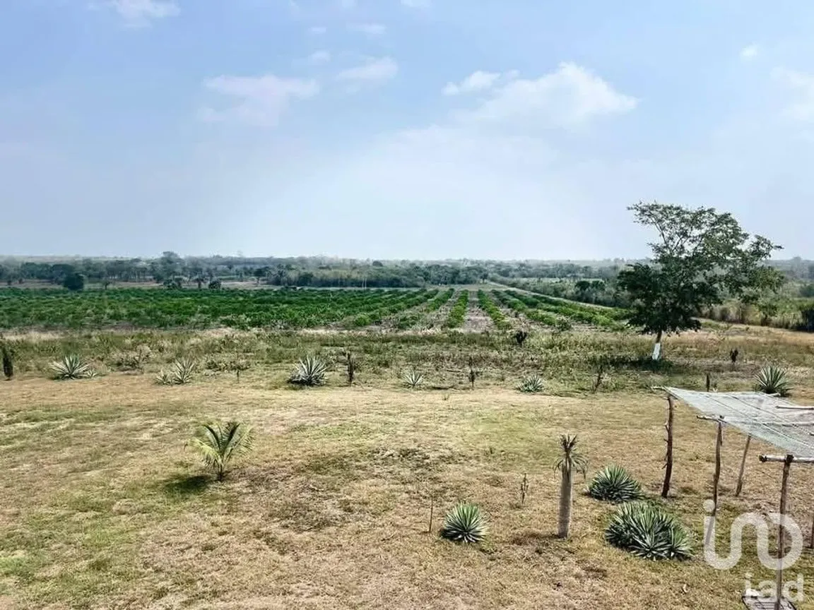Terreno en Venta en Topila, Tampico Alto, Veracruz de Ignacio de la Llave | NEX-244648 | iad México | Foto 1 de 16