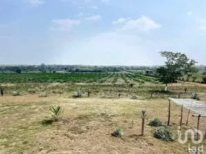 NEX-244648 - Terreno en Venta en Topila, CP 92045, Veracruz de Ignacio de la Llave.