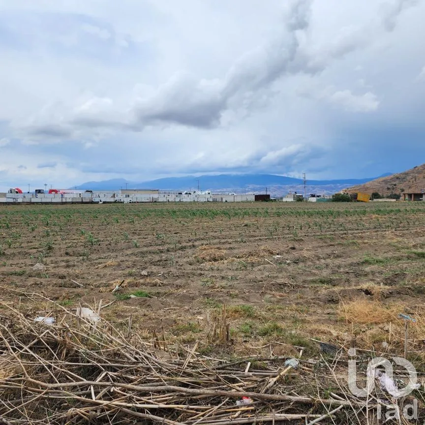 Terreno en Venta en 20 de Noviembre, Cocotitlán, México | NEX-222050 | iad México | Foto 2 de 5