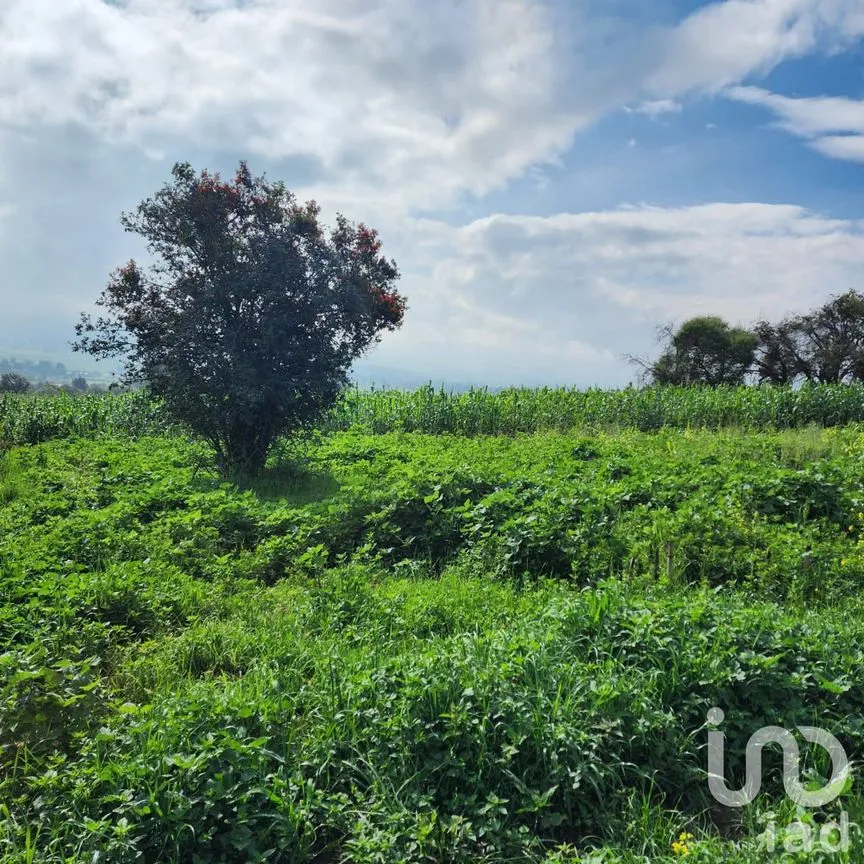Terreno en Venta en San Antonio Zoyatzingo, Amecameca, México | NEX-233139 | iad México | Foto 7 de 15
