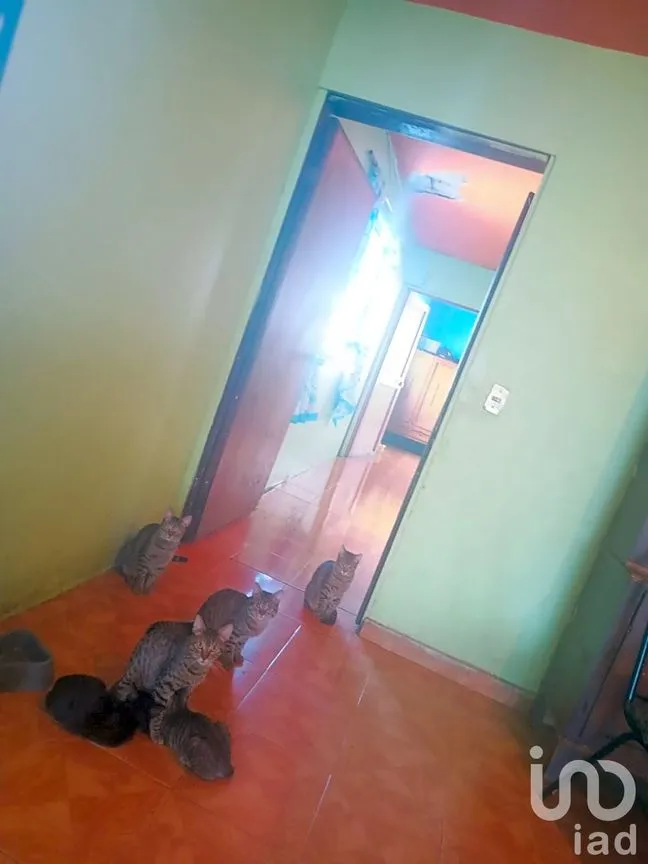 Casa en Venta en San Antonio, Chalco, México | NEX-237603 | iad México | Foto 14 de 14