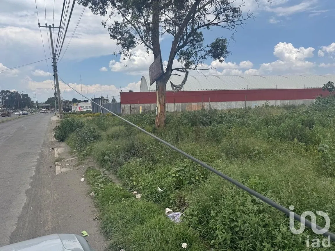 Terreno en Renta en San Gregorio Cuautzingo, Chalco, México | NEX-254715 | iad México | Foto 6 de 10
